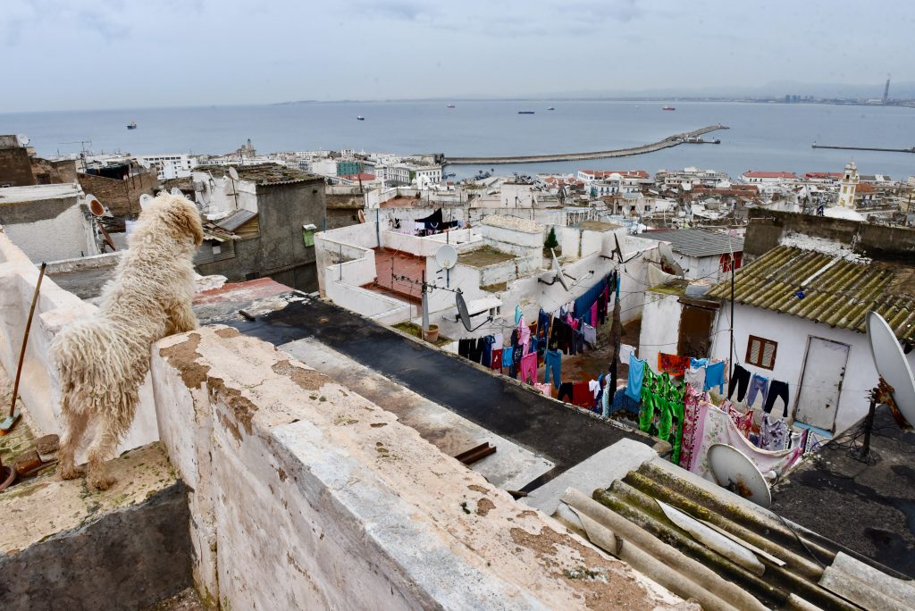 Algerien 2018 (18)