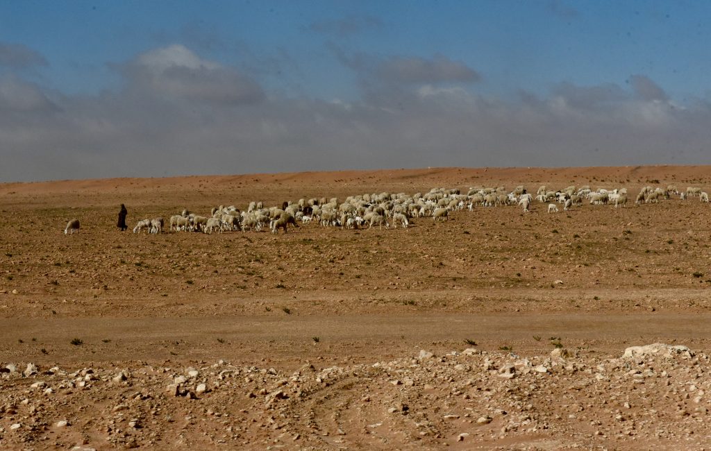 Algerien 2018 (33)