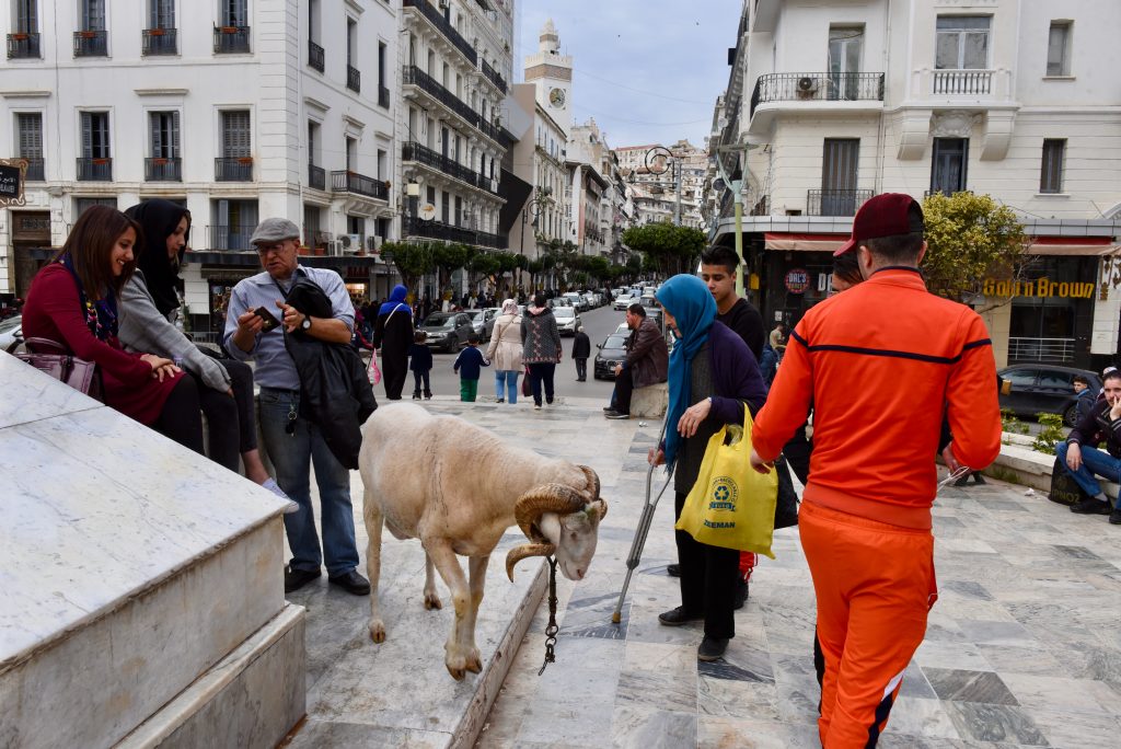 Algerien 2018 (5)