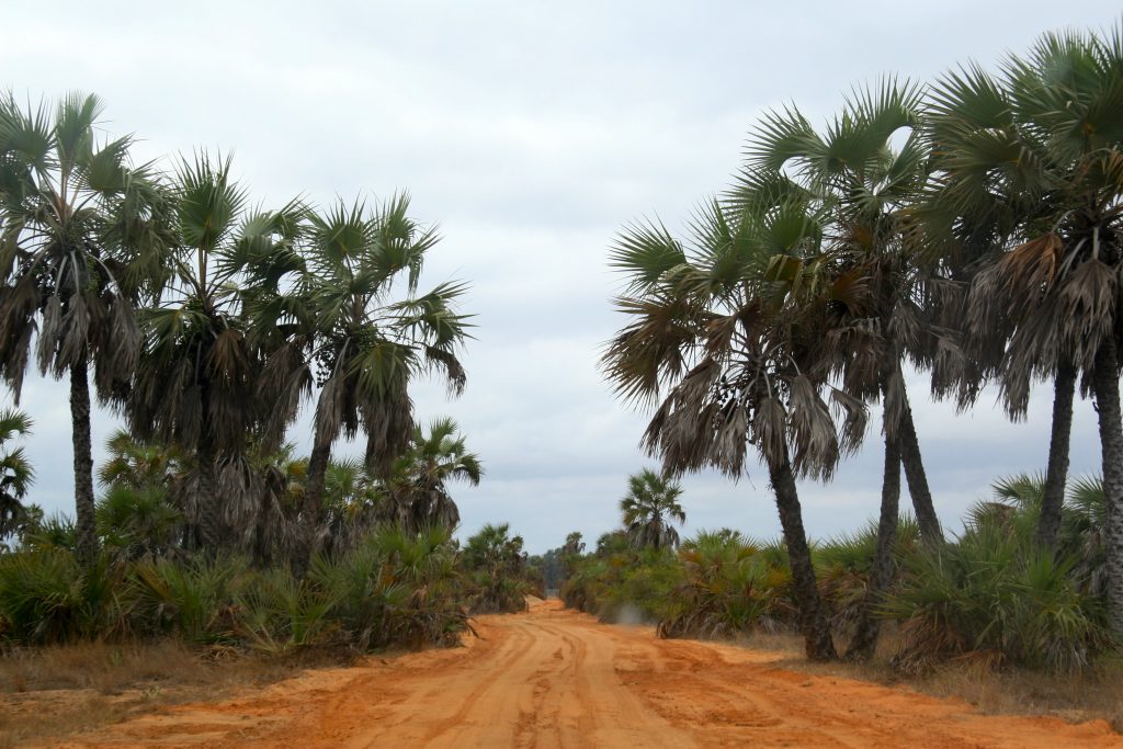 Angola 2006 (15)