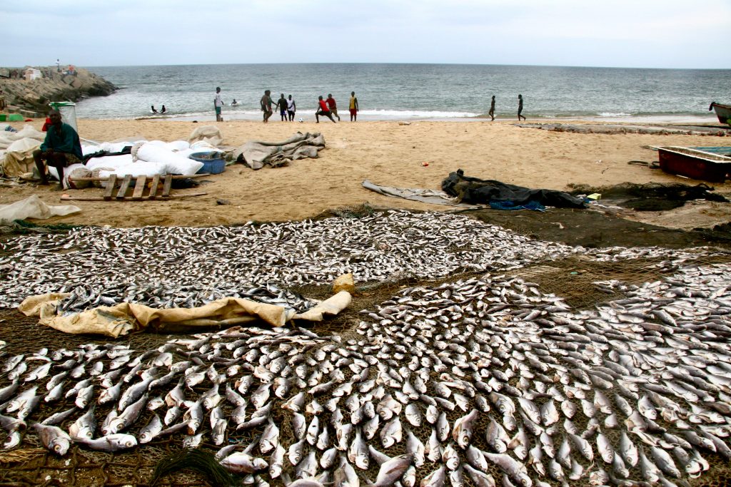 Angola 2006 (9)