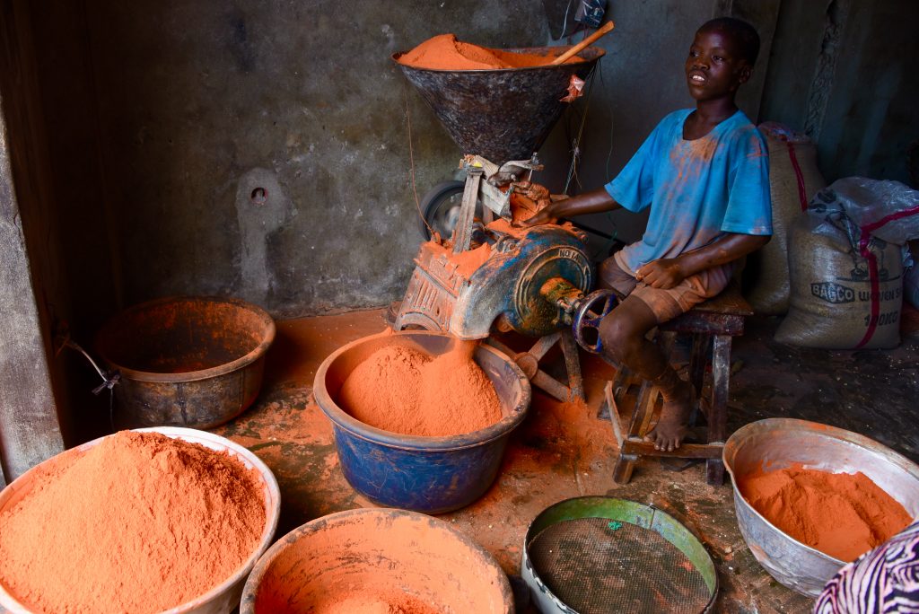 Benin 2016 (12)