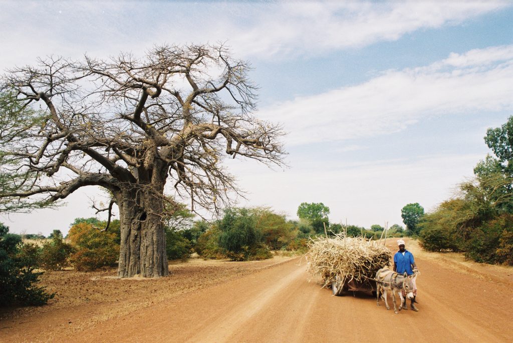Burkina Faso 2005 (10)