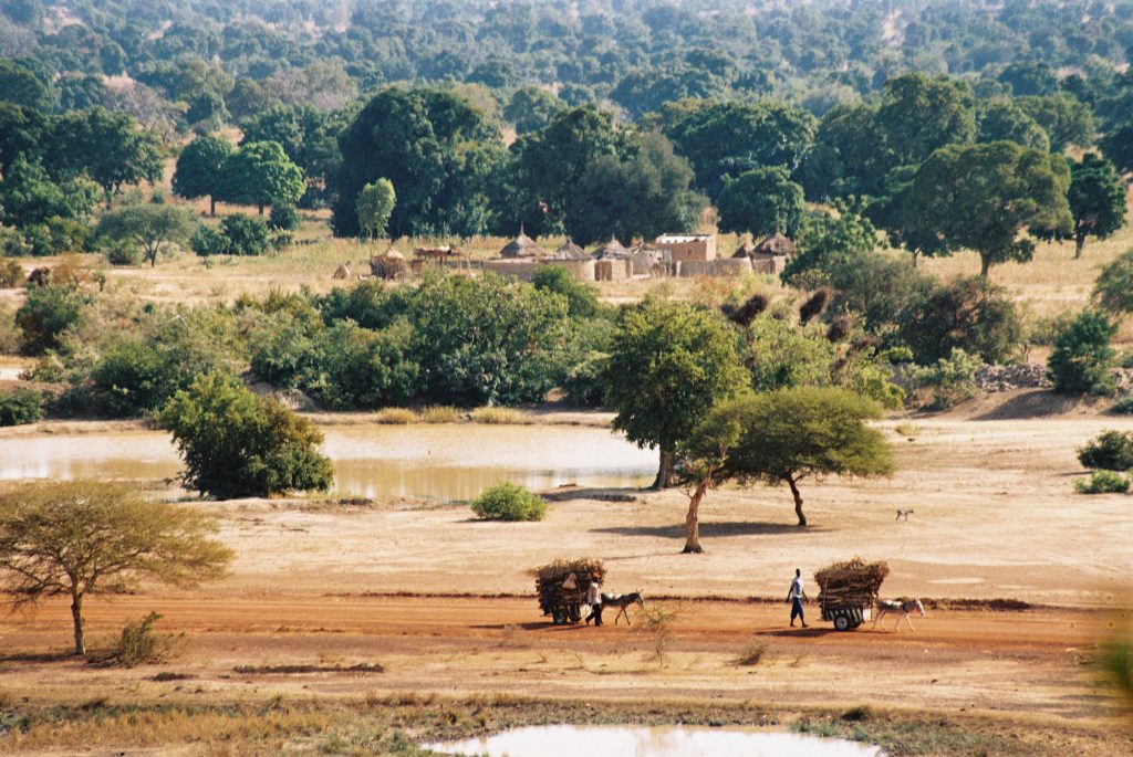 Burkina Faso 2005 (12)