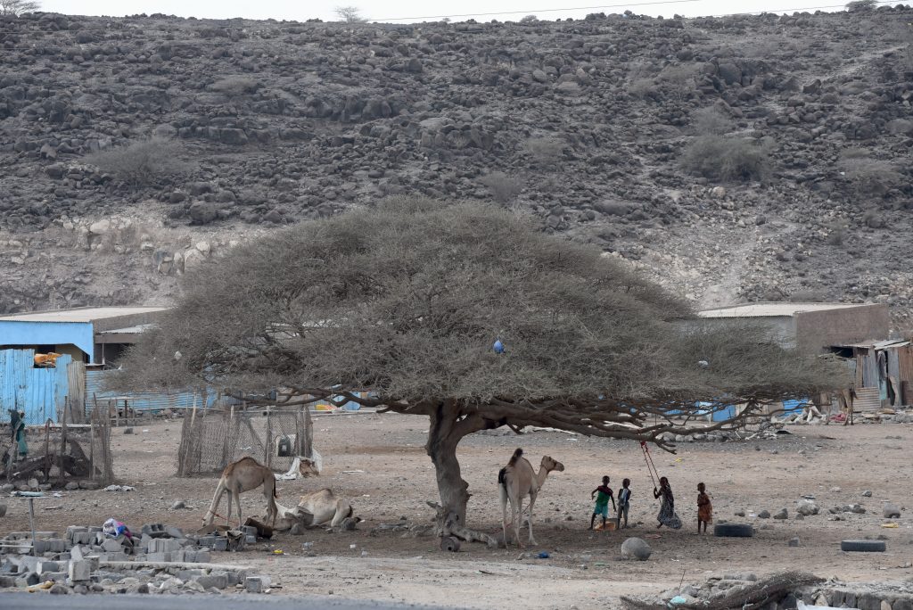Djibouti 2016 (9)