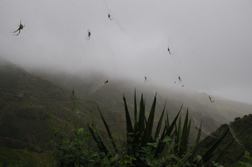 Epic Journeys 2012 Von Malle nach Manaus (23)