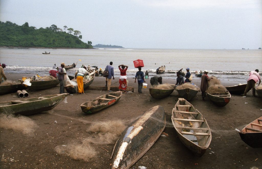 Kamerun 2005 (3)