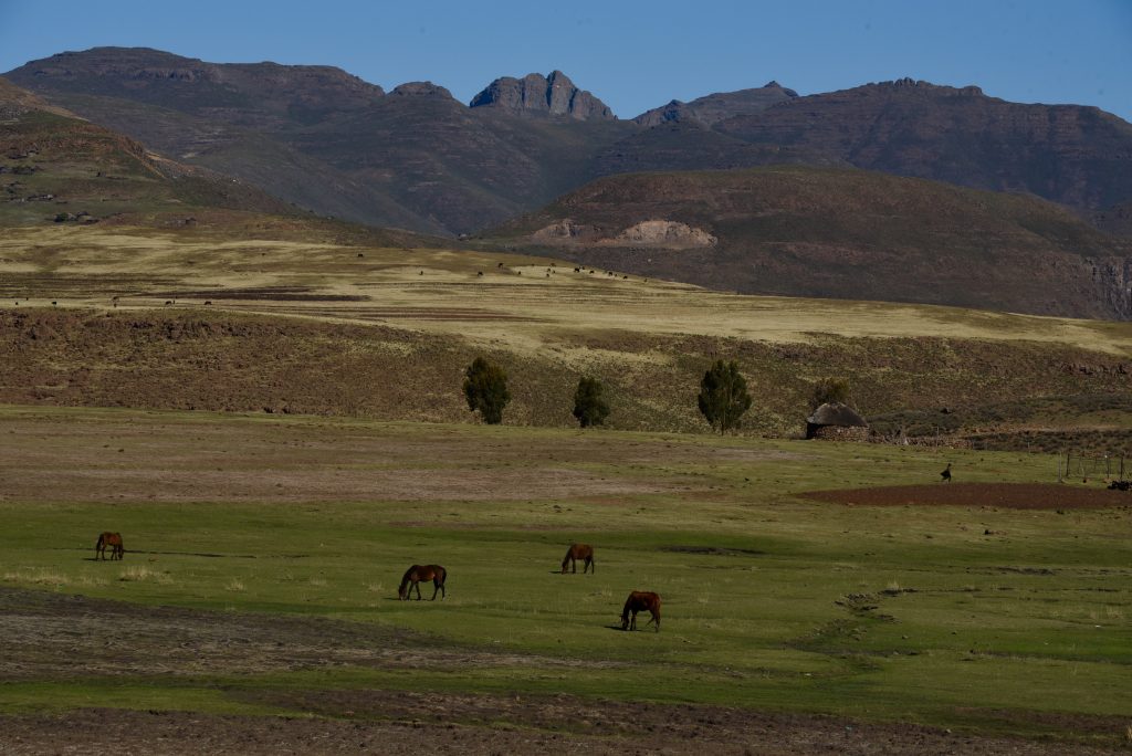 Lesotho 2017 (11)