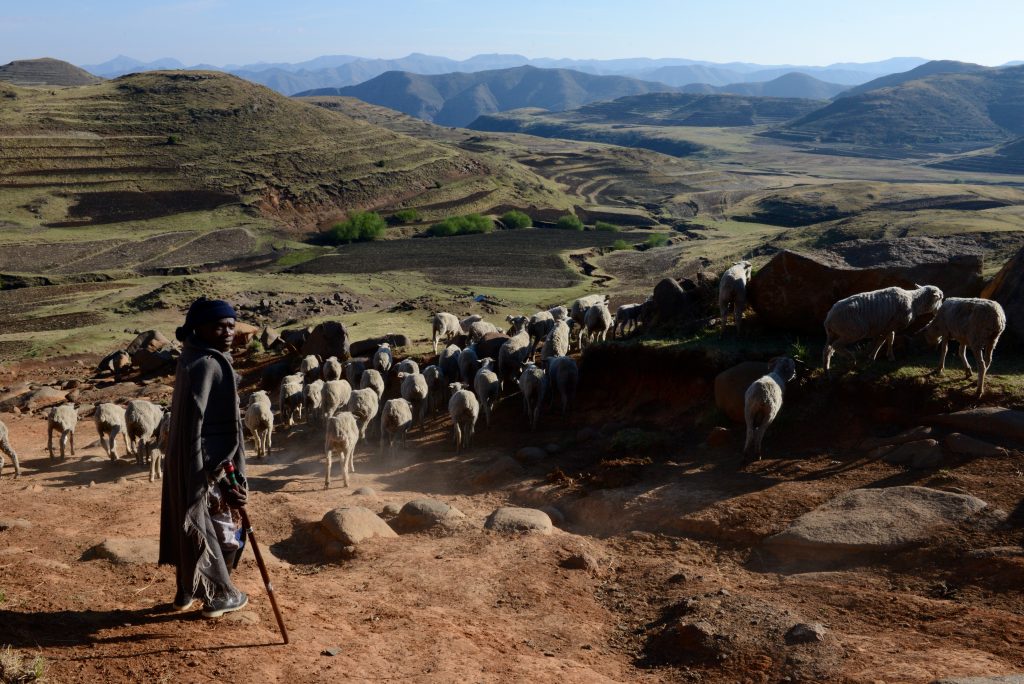 Lesotho 2017 (20)