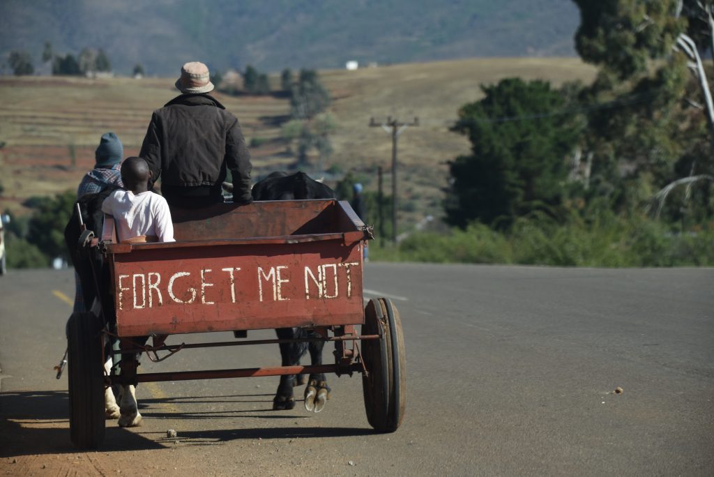 Lesotho 2017 (21)