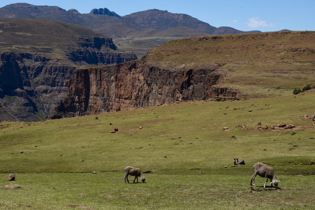 Lesotho 2017 (7)
