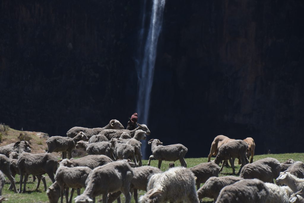Lesotho 2017 (8)
