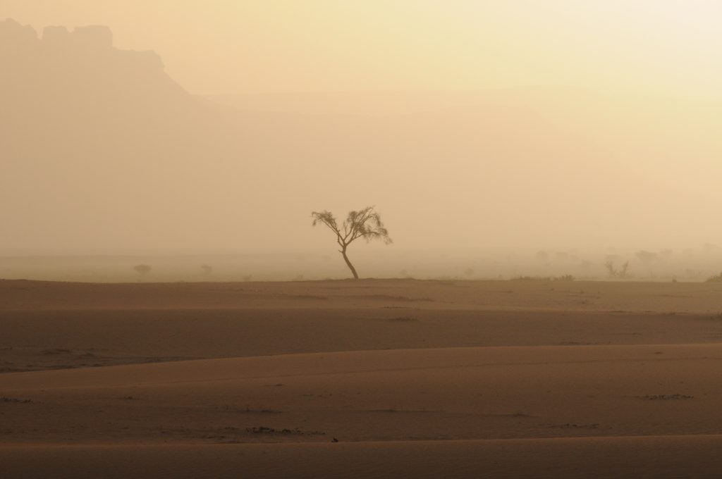 Libyen 2011 (17)