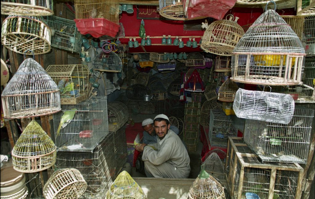Afghanistan 2004 (19)