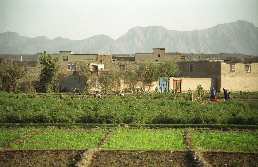 Afghanistan 2004 (8)