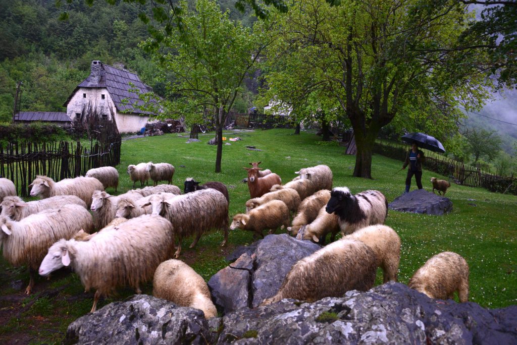 Albanien 2016 (16)