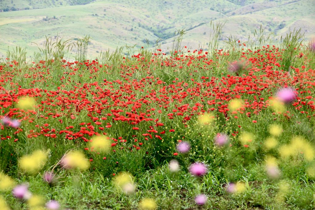 Armenien 2007 (9)