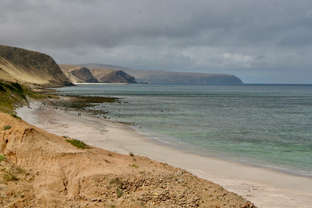 Australien 2008 - 2009 (12)