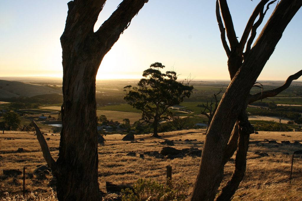 Australien 2008 - 2009 (14)