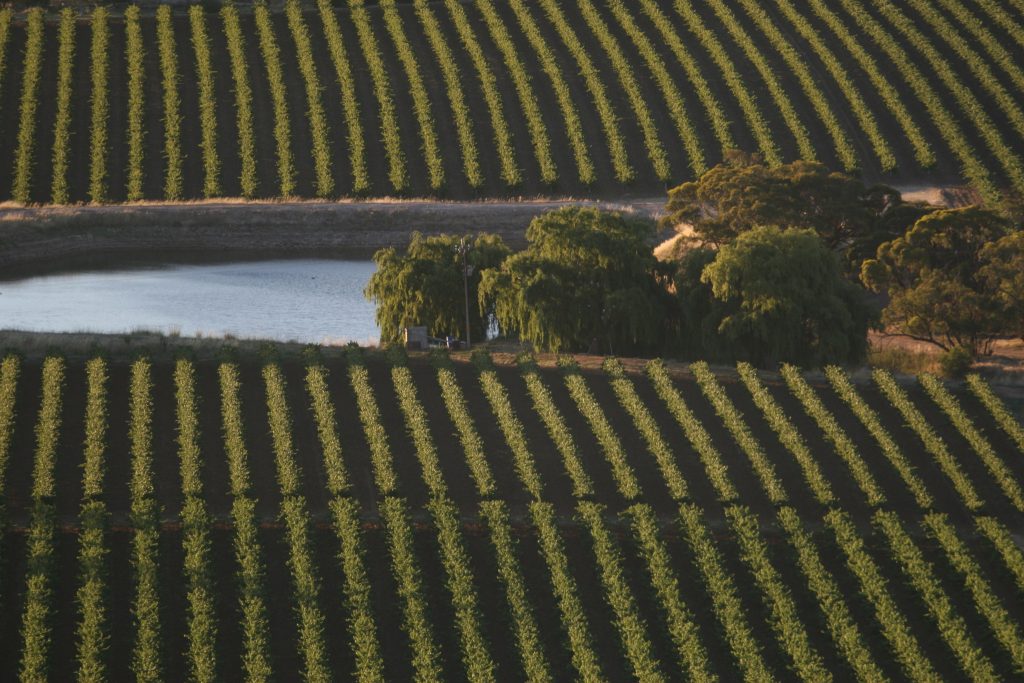 Australien 2008 - 2009 (15)