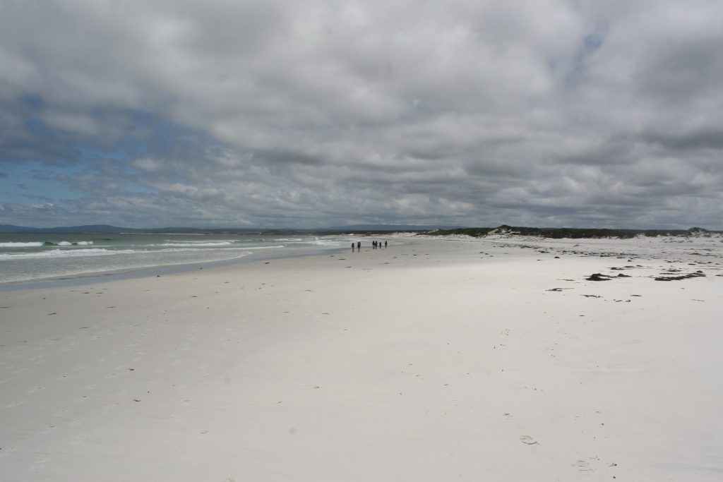 Australien 2008 - 2009 (20)