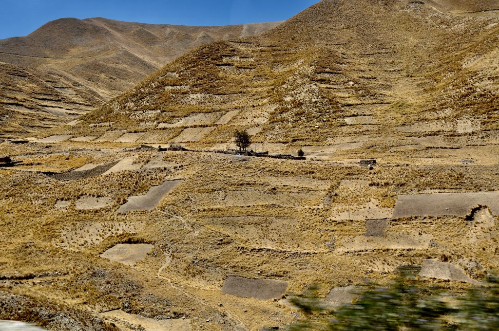 Bolivien 2010 (2)
