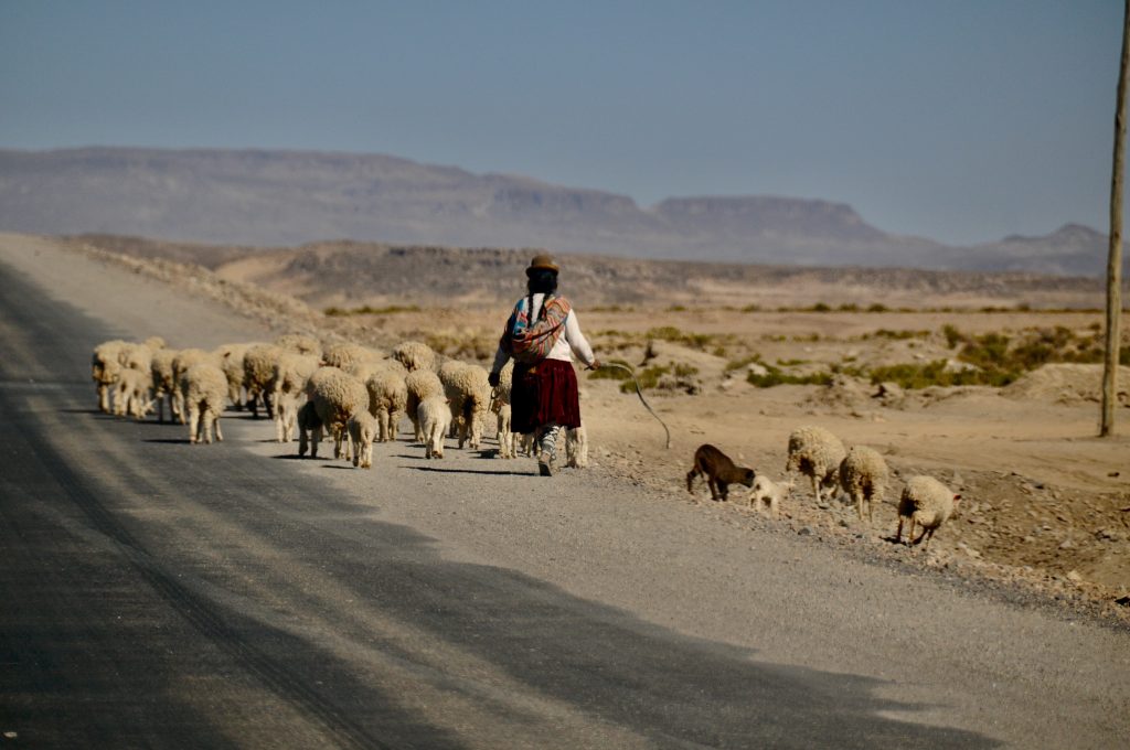 Bolivien 2010 (25)