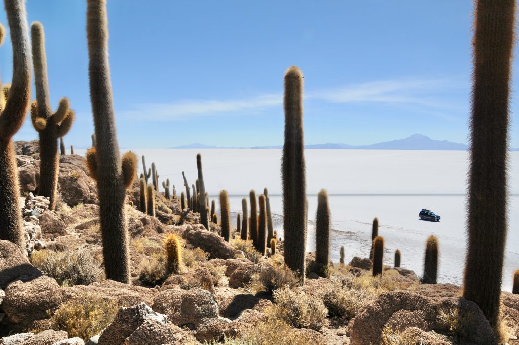 Bolivien 2010 (28)