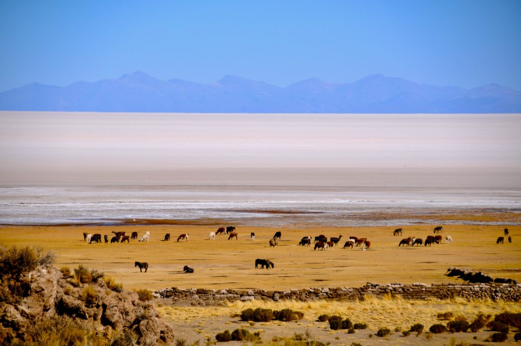 Bolivien 2010 (29)