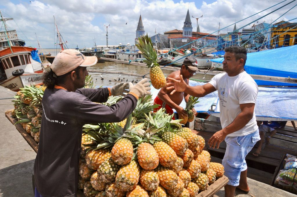 Brasilien 2013 Ilha do Marajo (2)