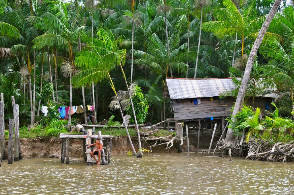 Brasilien 2013 Ilha do Marajo (3)