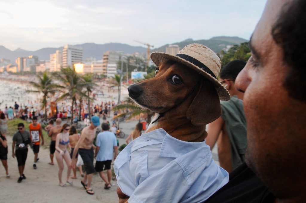 Brasilien 201314 Rio mit Sippe und Feuerwerk (4)