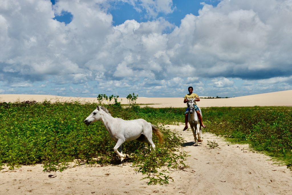 Brasilien 2014 - Roadtrip Fortaleza - Sao Luis (10)