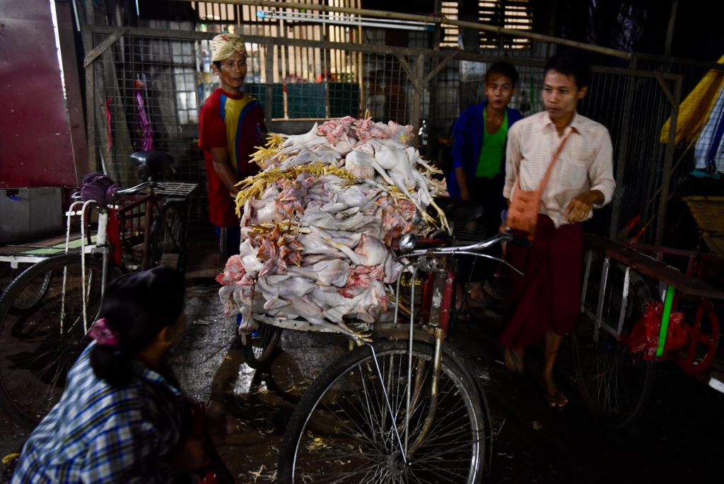 Burma 2017 (56)