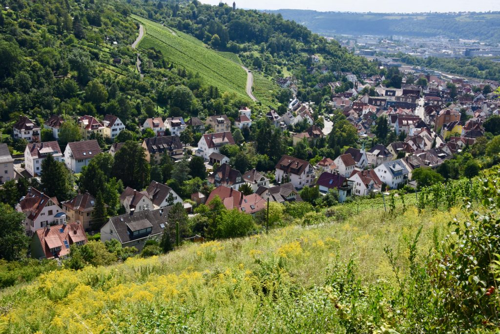 Deutschland 2021 Tremsbüttel Hamburg Schwanebn Weinwanderweg Obertürkheim - Untertürkheim Berlin Beelitzer Heilstätten (7)