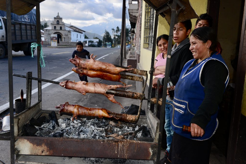 Ecuador 2015 (13)
