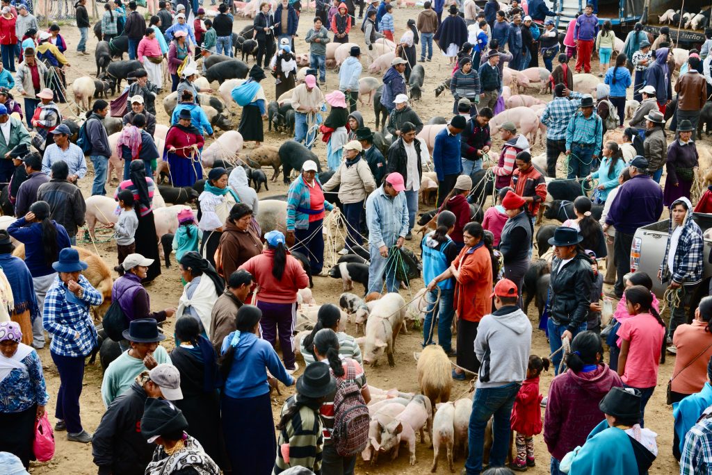 Ecuador 2015 (2)