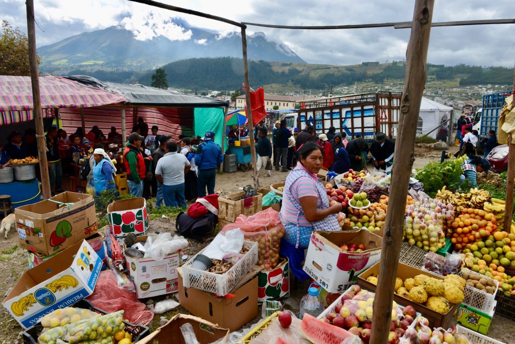 Ecuador 2015 (25)