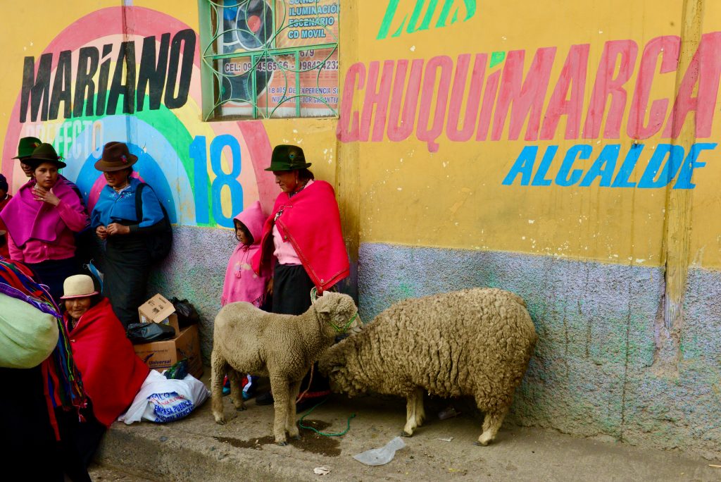 Ecuador 2015 (29)