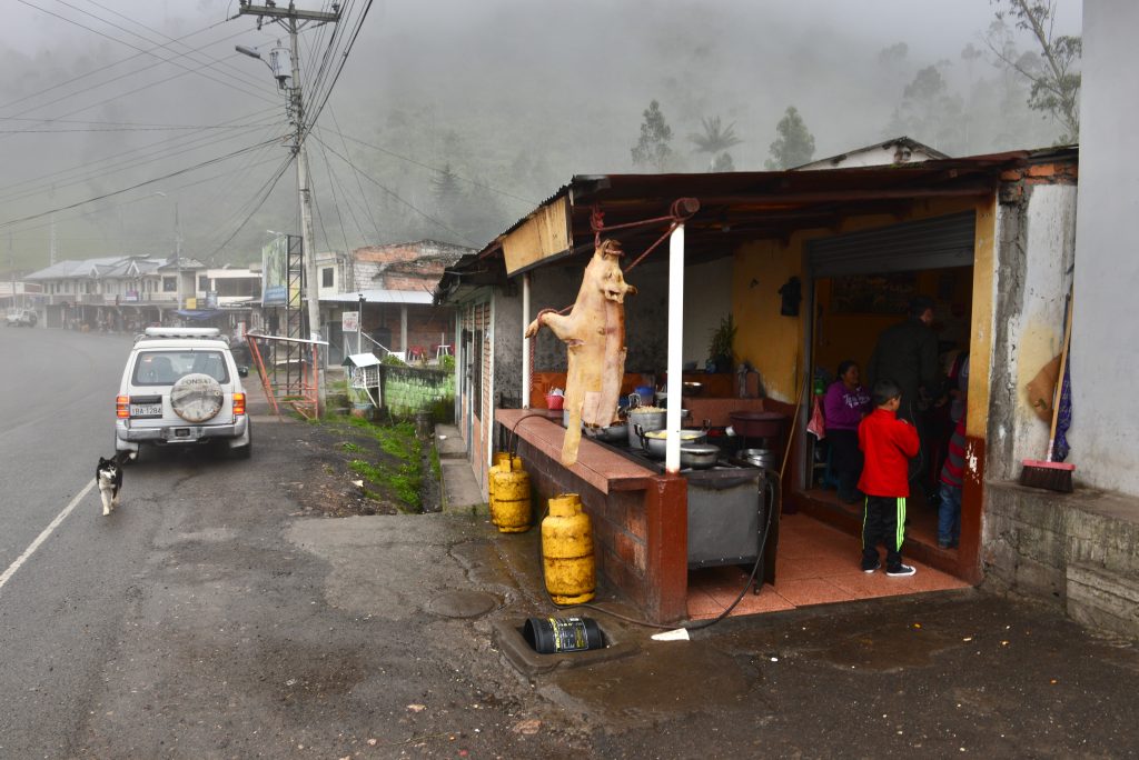 Ecuador 2015 (3)