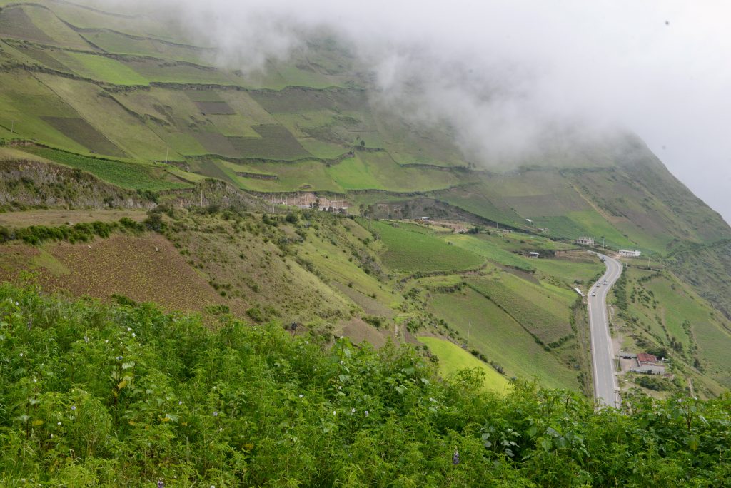 Ecuador 2015 (32)