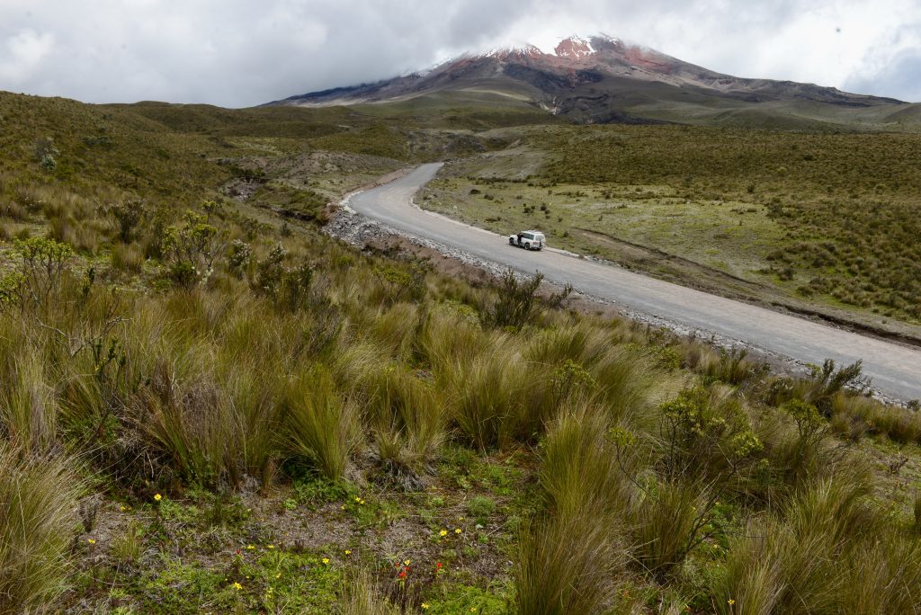 Ecuador 2015 (38)