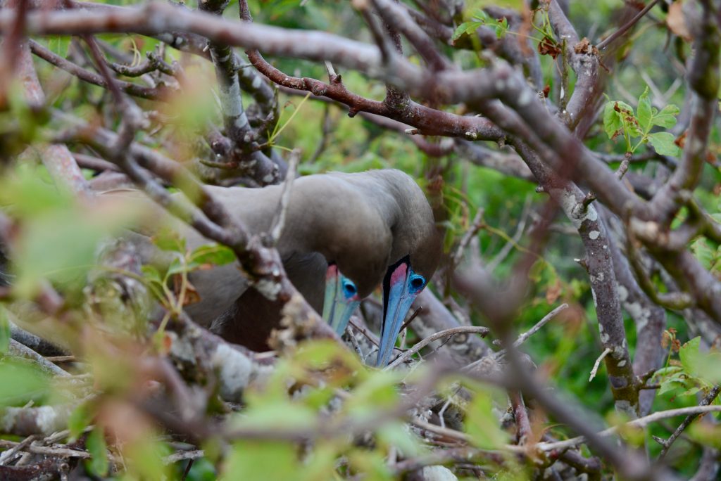 Ecuador 2015 (49)