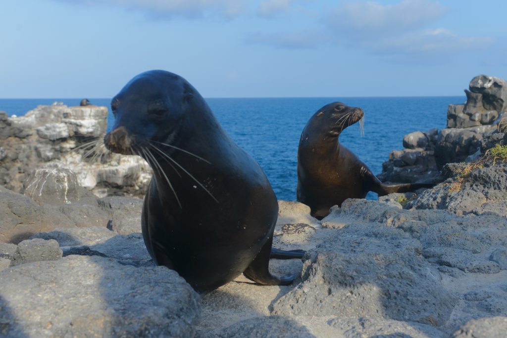 Ecuador 2015 (56)