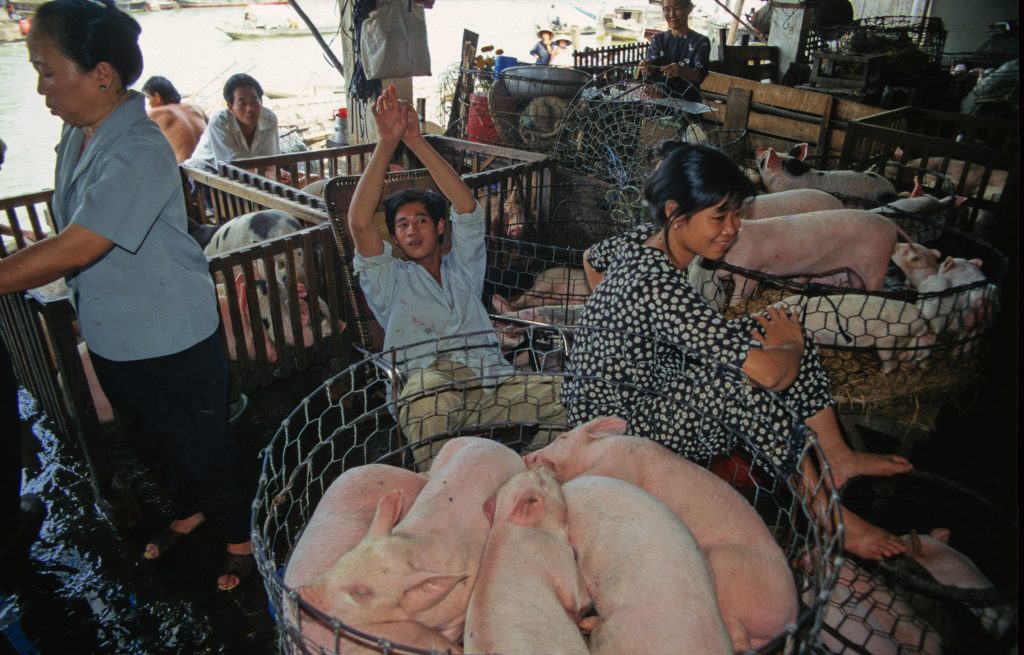 Epic Journeys 1997 Dubai Vietnam Hongkong Guilin Bombay (25)