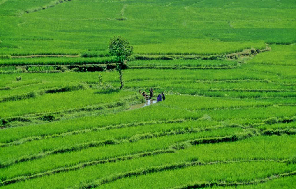 Epic Journeys 1999 Karakorum Highway Tansania Kenia (9)