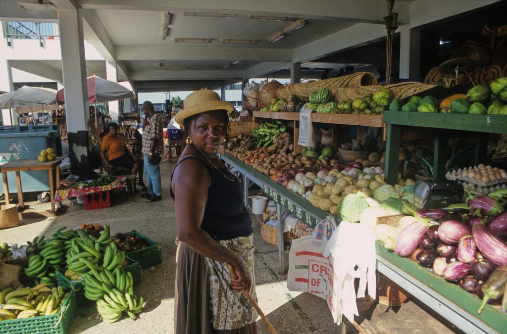Epic Journeys 2002 Puerto Rico Saint Lucia Martinique Dominica Guadeloupe (1)