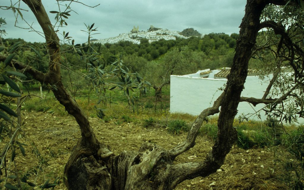 Epic Journeys 2004 Andalusien Marokko (7)