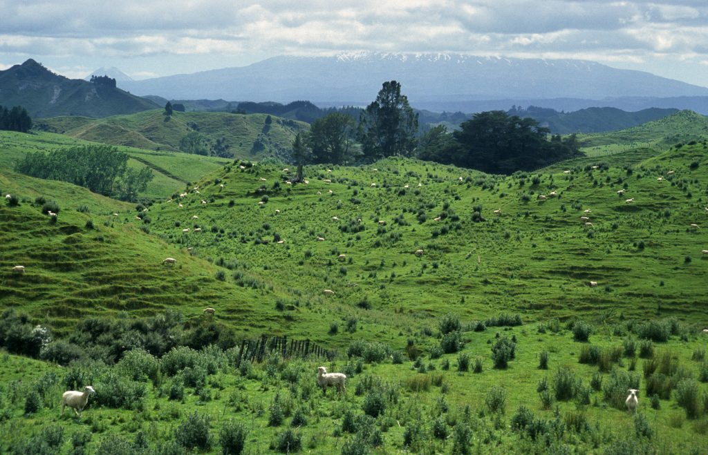 Epic Journeys 2004 RTW Colorado Kalifornien Fidschi Samoa Neuseeland Australien Singapur (2)