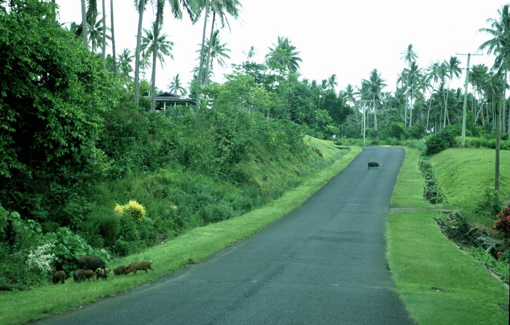 Epic Journeys 2004 RTW Colorado Kalifornien Fidschi Samoa Neuseeland Australien Singapur